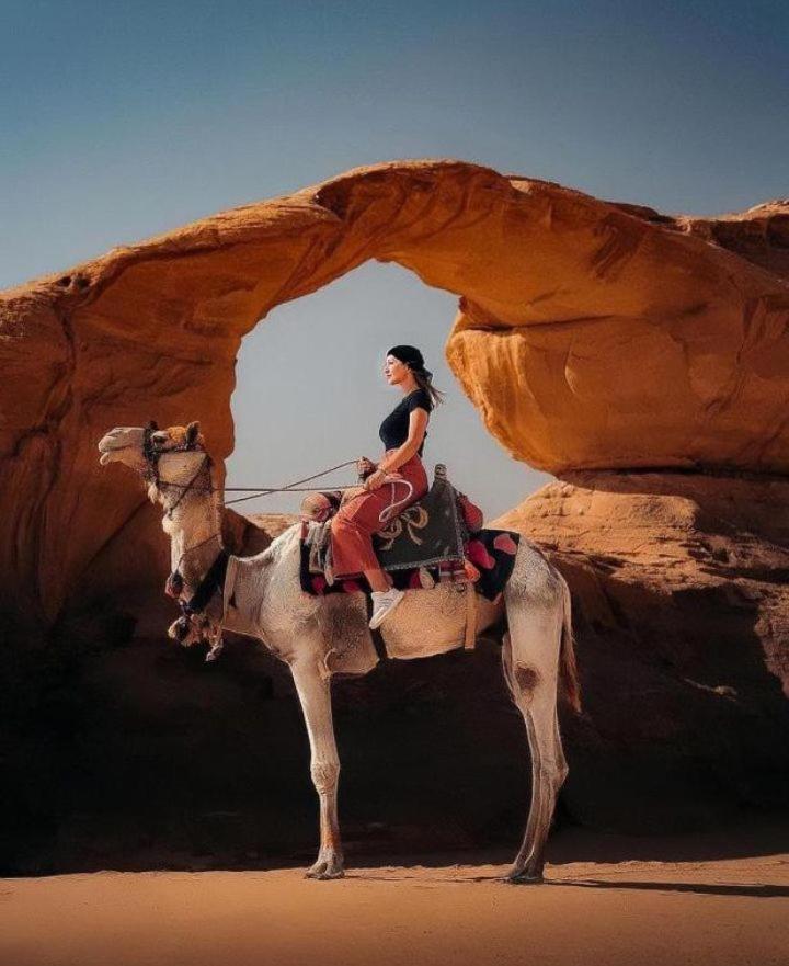 Night Magic Camp Hotel Wadi Rum Eksteriør billede