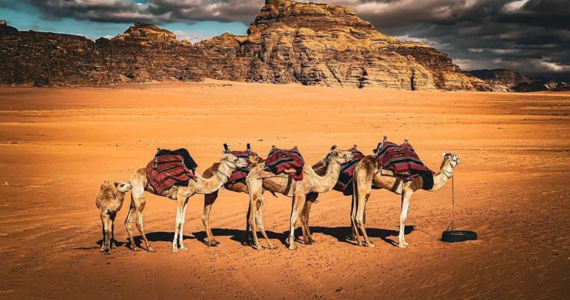 Night Magic Camp Hotel Wadi Rum Eksteriør billede