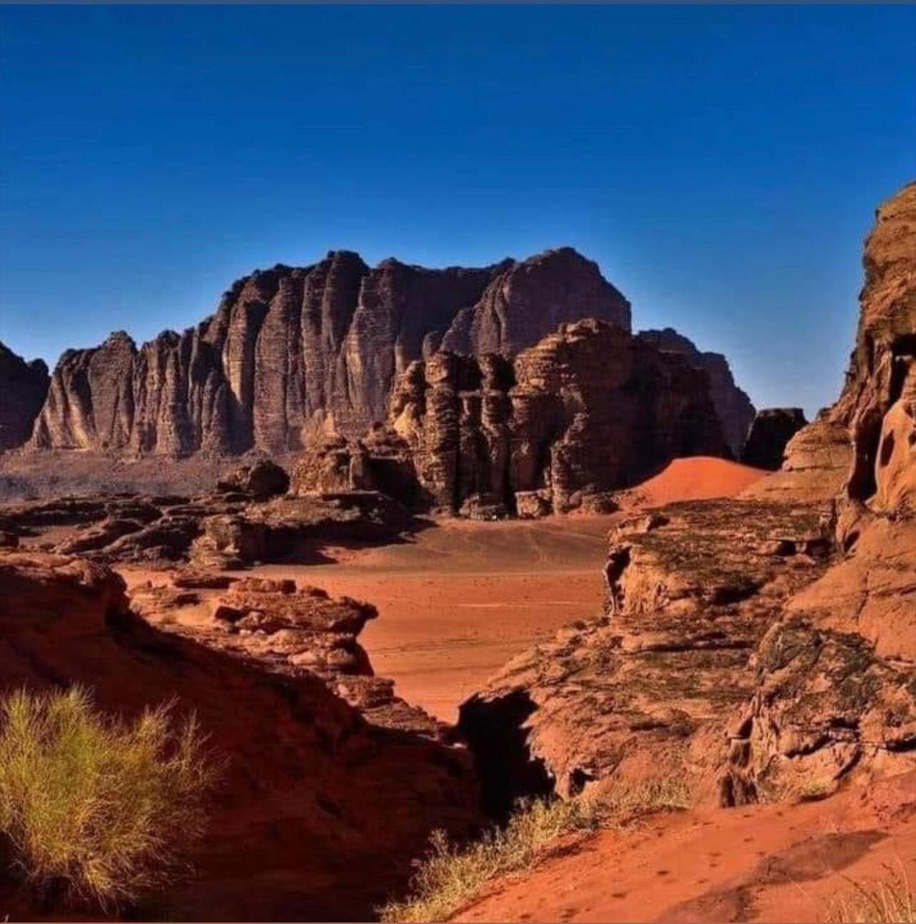 Night Magic Camp Hotel Wadi Rum Eksteriør billede